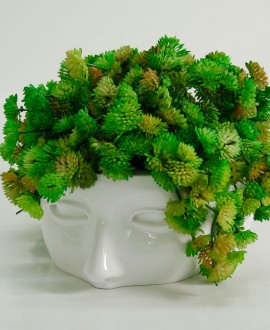 ARIEL Vaso

Vaso da fiori a forma di testa di donna, Antartidee