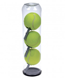 PALLA APPENDI 3, Appendino a forma di palla da tennis, Antartidee