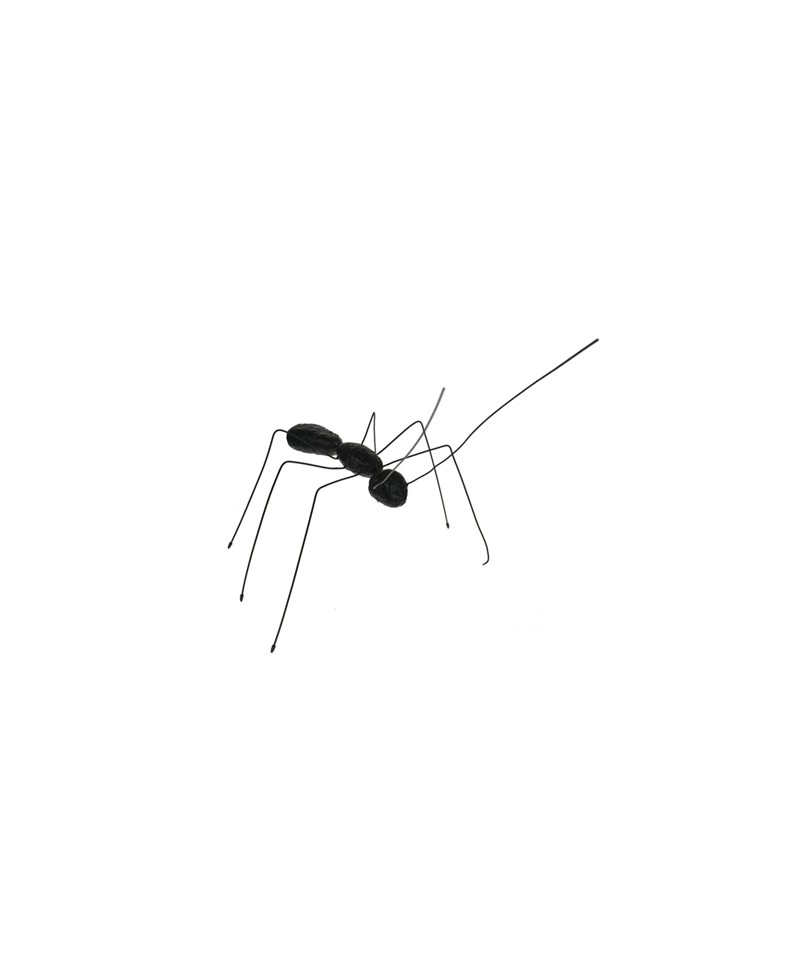 XY MALE ANT, Table / wall ant. Hand painted resin and metal. Color black. Made in Italy by Antartidee
