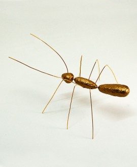 XY MALE ANT, Table / wall ant. Hand painted resin and metal. Color gold. Made in Italy by Antartidee